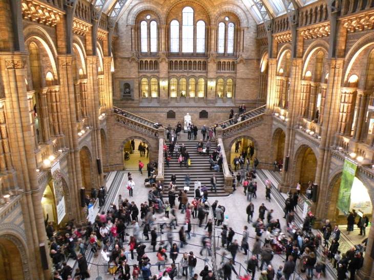  vue générale du hall principal du natural history museum